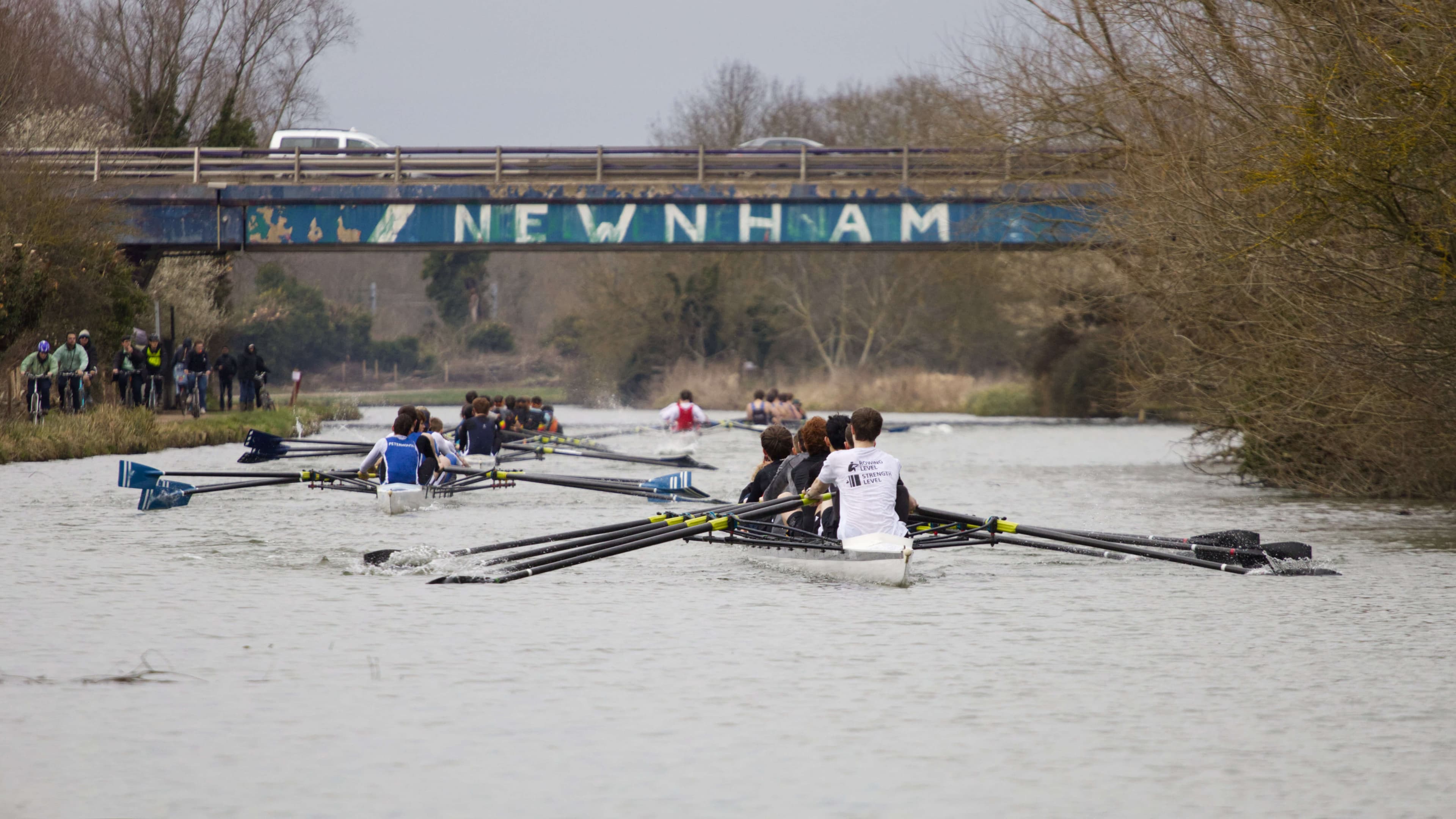Rowing crews racing under a bridge